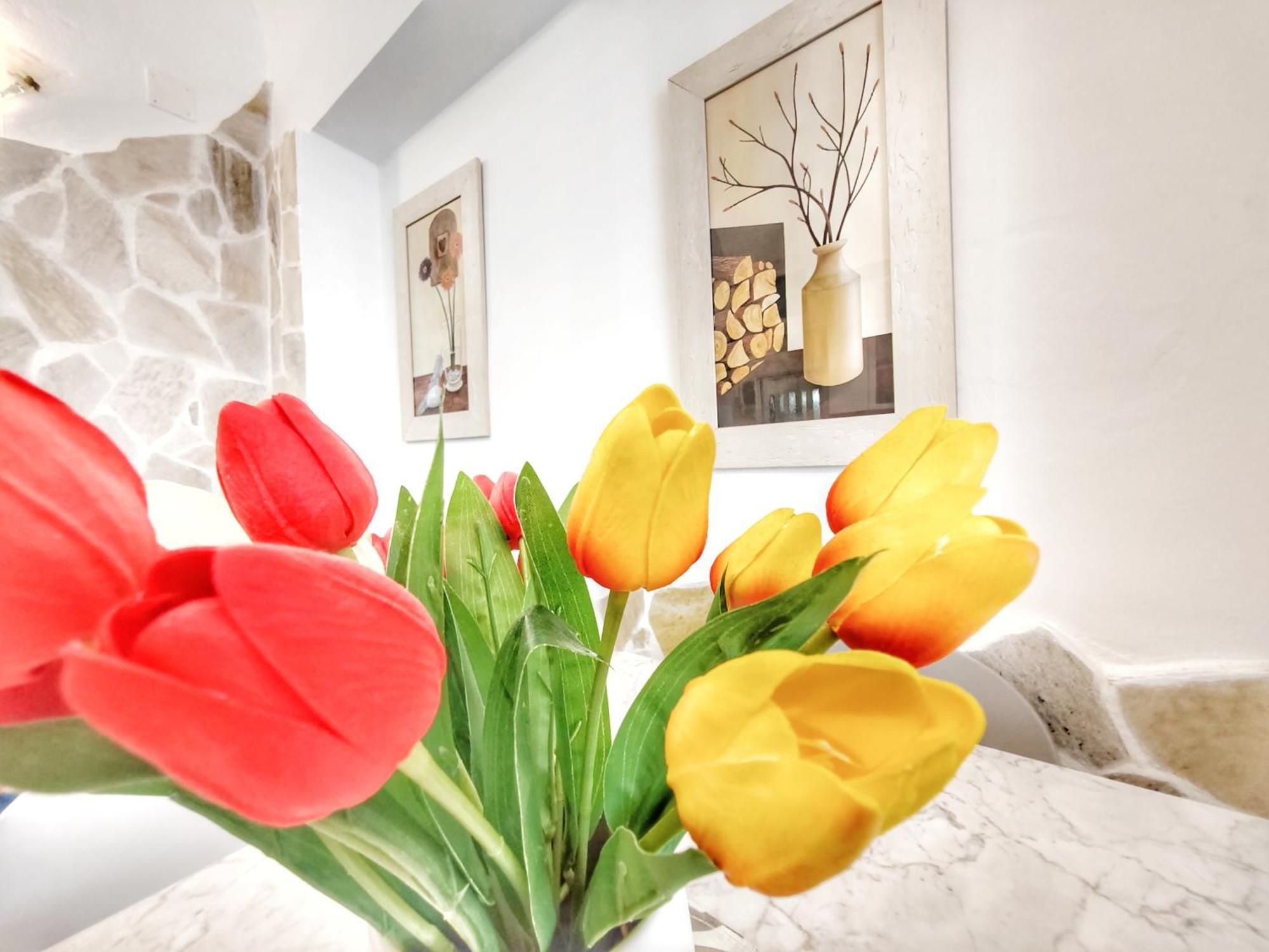 San Domenico House Monopoli 아파트 외부 사진